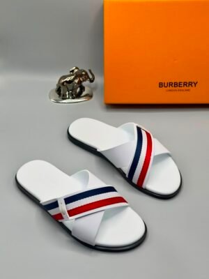 Premium White Slides with Red and Blue Stripes | Tconcorde